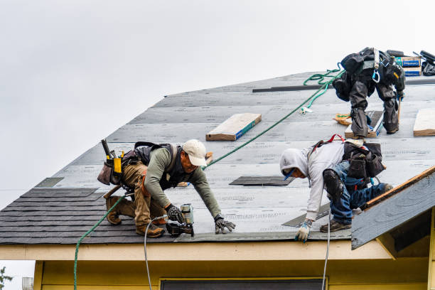 Professional Gutter Installation technician working in East Lynne, MO